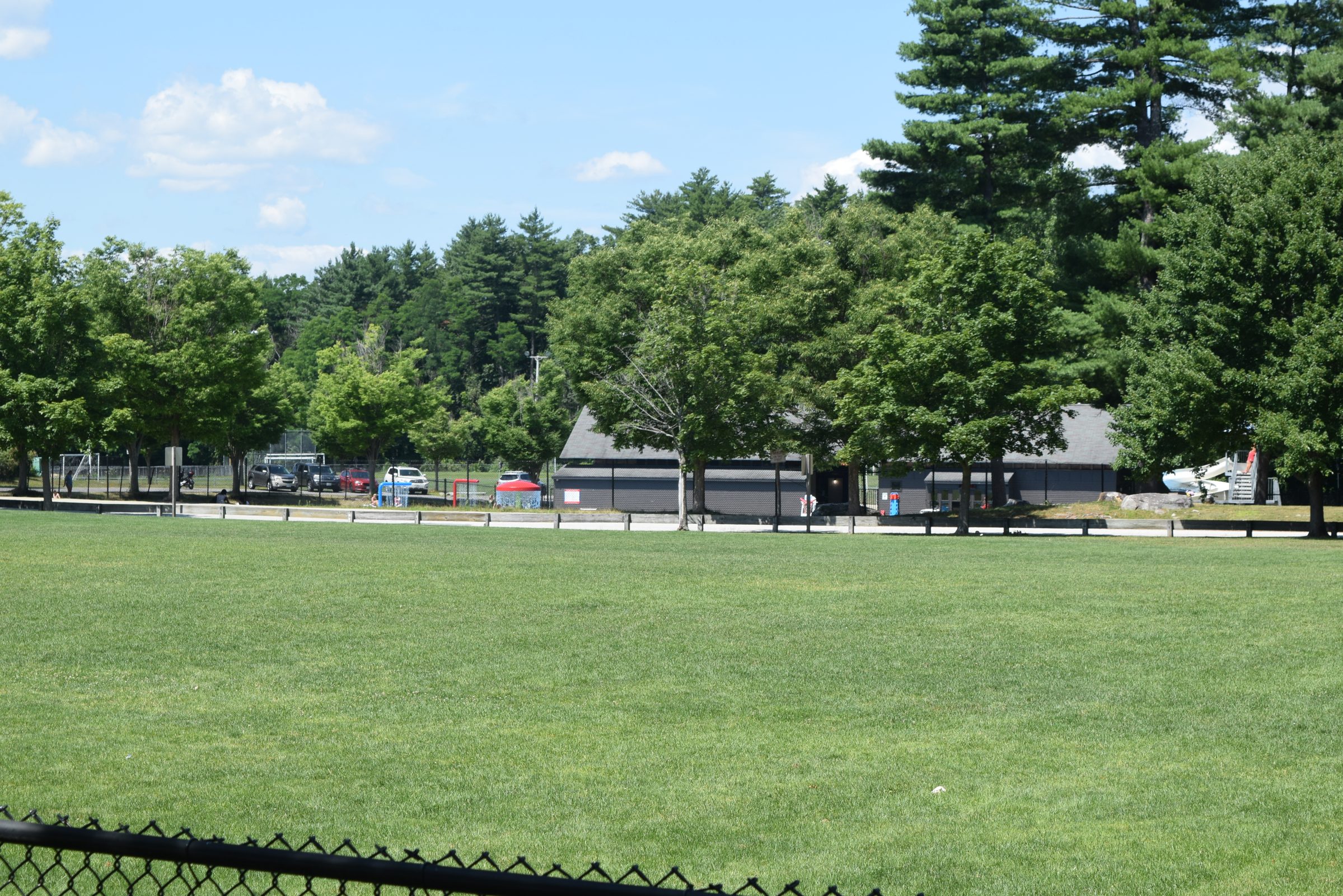 Livingston Park — trail moment 13