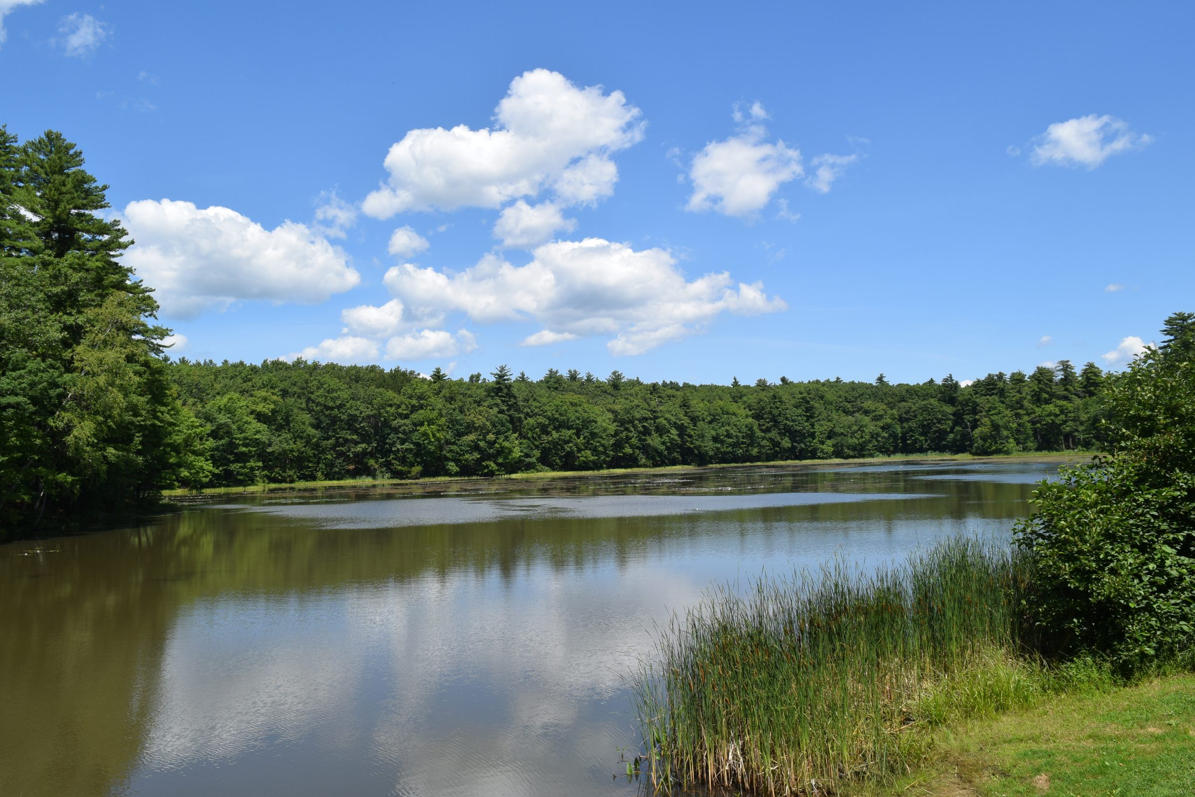 Livingston Park — trail moment 27