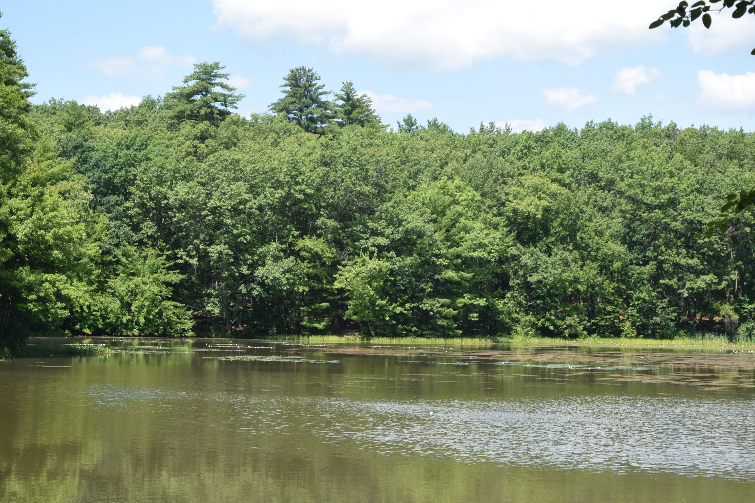 Livingston Park — trail moment 33