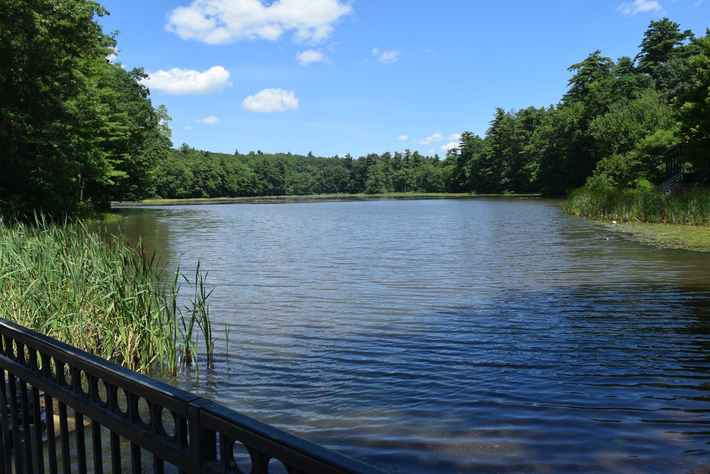 Livingston Park — trail moment 38