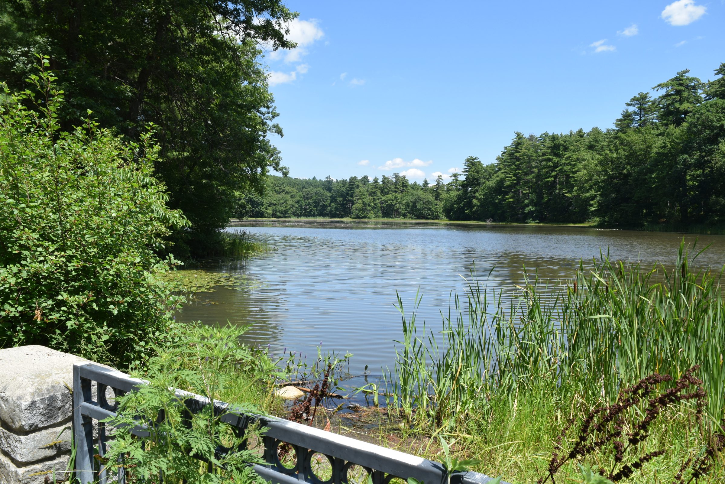 Livingston Park — trail moment 24
