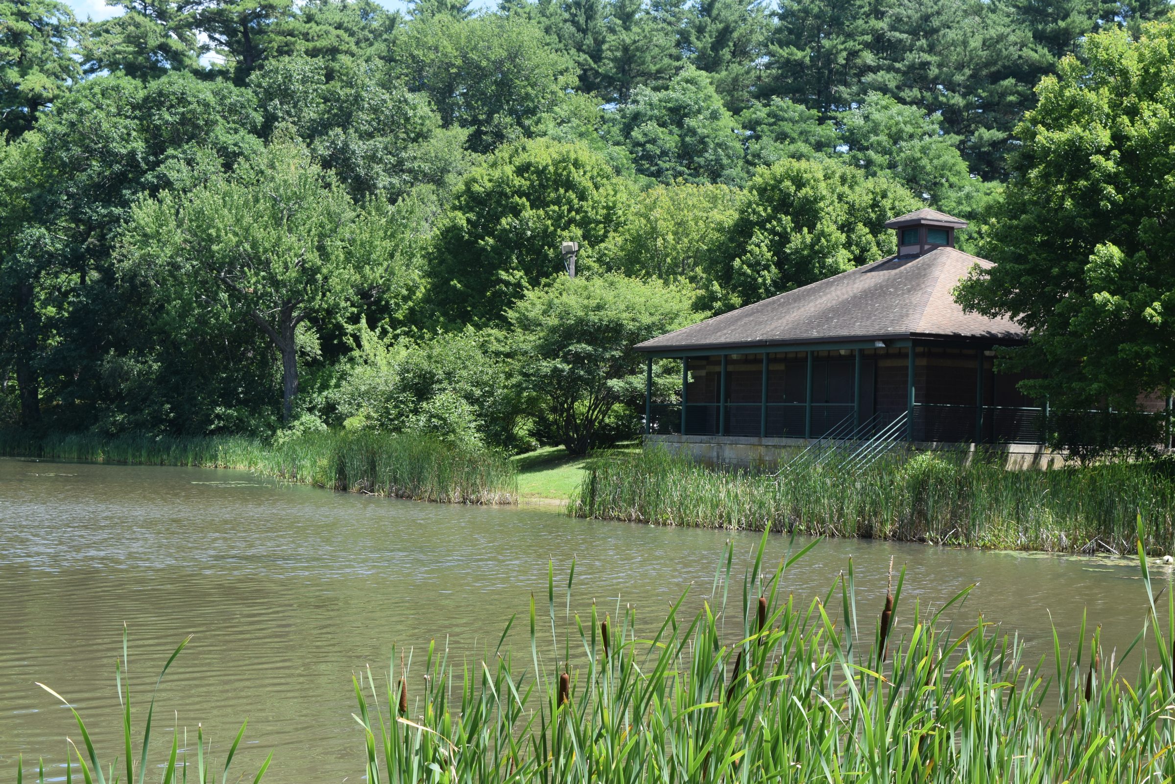 Livingston Park — trail moment 31