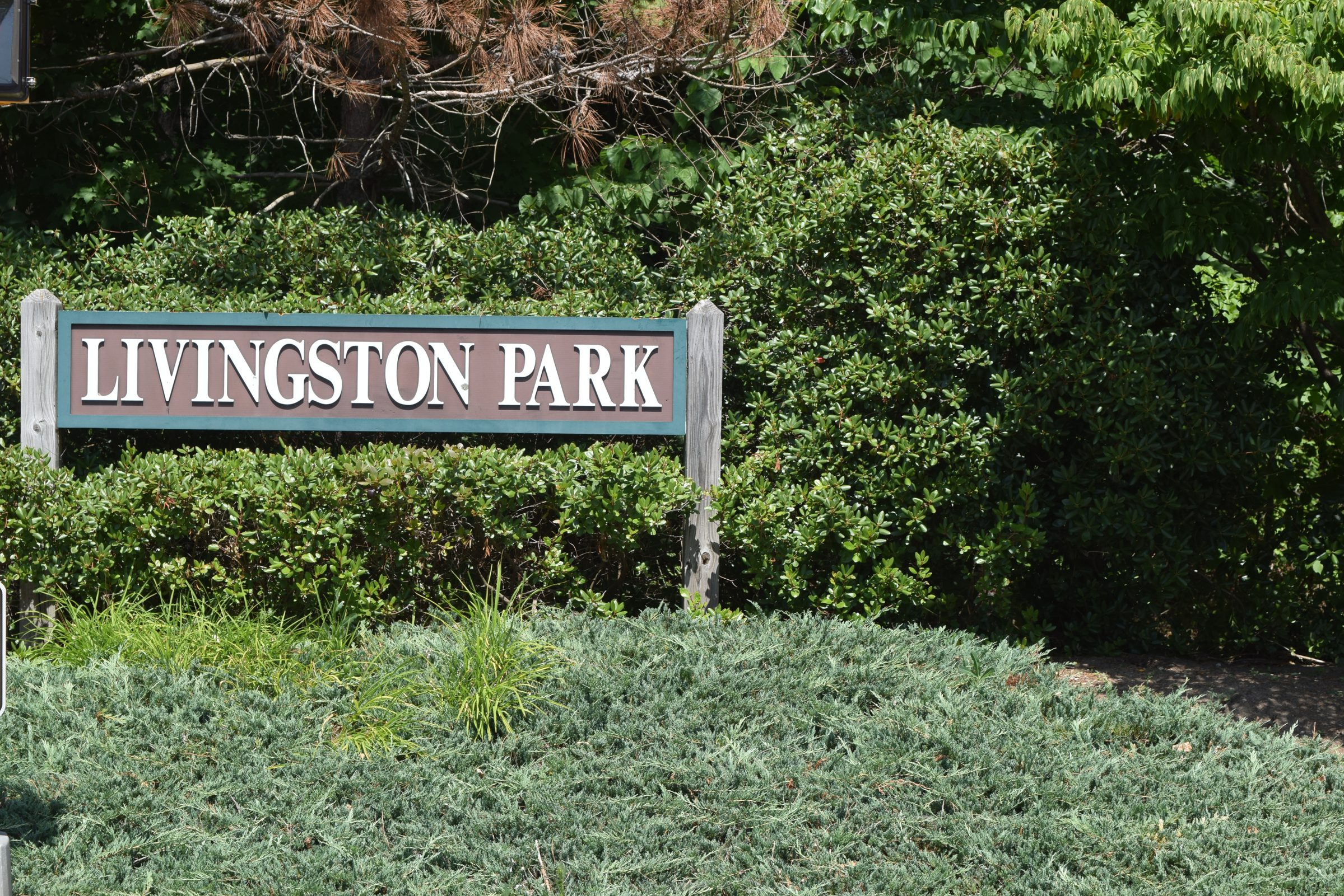 Livingston Park — trail moment 39