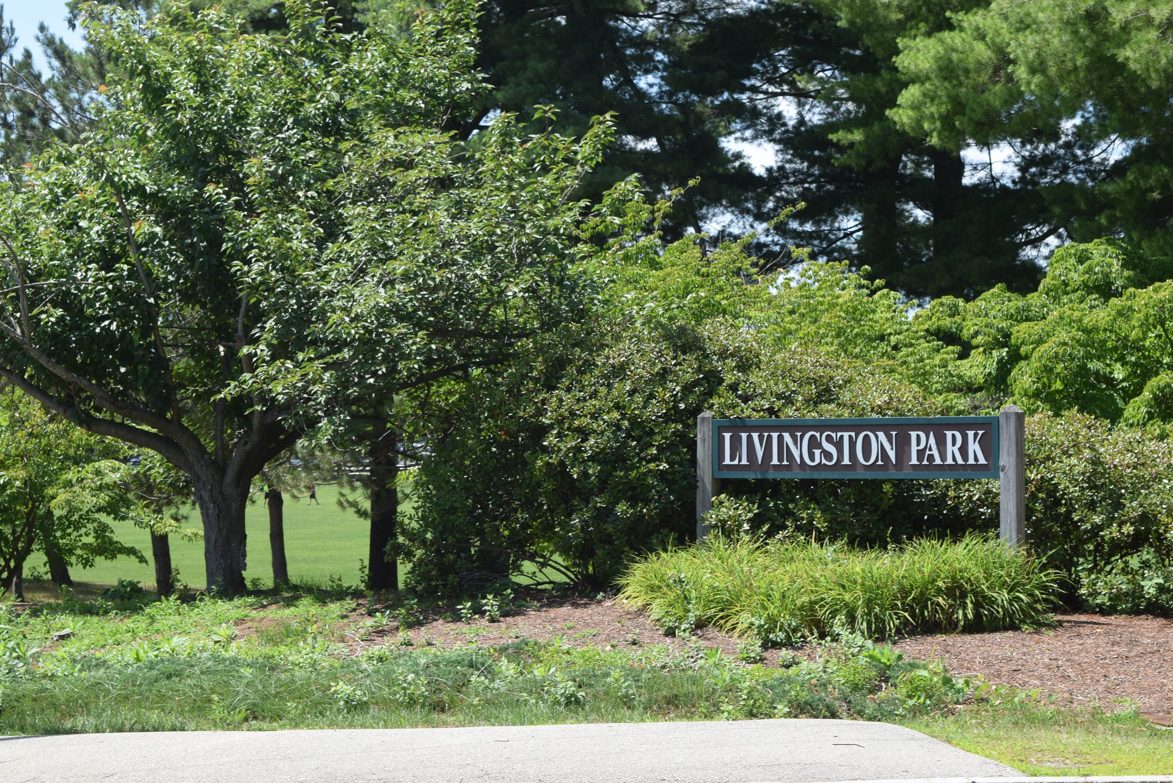 Livingston Park — trail moment 12